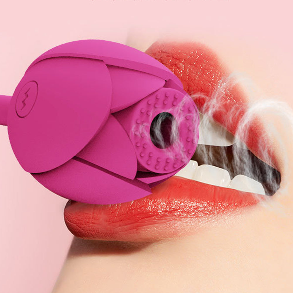 10 Frequency Rose Vibrator With Egg Vibrator Rose Sex Toy – product view 9