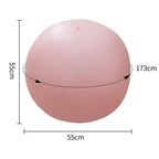 6.3 in Bouncy Inflatable Sex Ball with Remote Control Vibrating Realistic Dildo