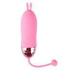 Wireless Mini Multi-Frequency Vibrating Egg Vibrator