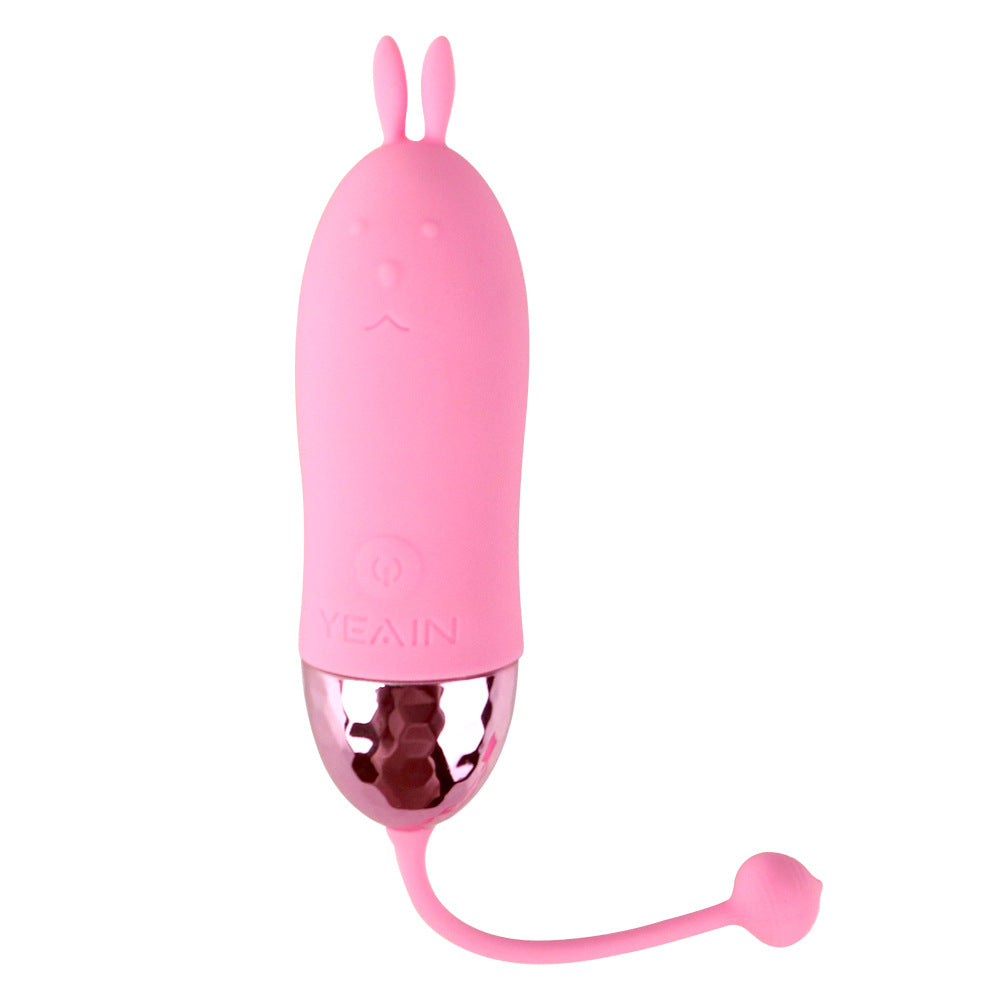 Wireless Mini Multi-Frequency Vibrating Egg – product view 4