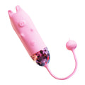 Piggy Vibrator -10 Frequency Wireless Control Piglet Vibrator – product view 10