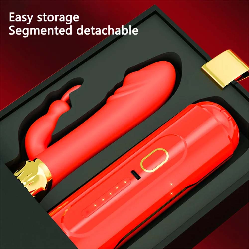10 Frequency Automatic Pushing Back and Forth Dildo G-spot Vibrator – product view 3