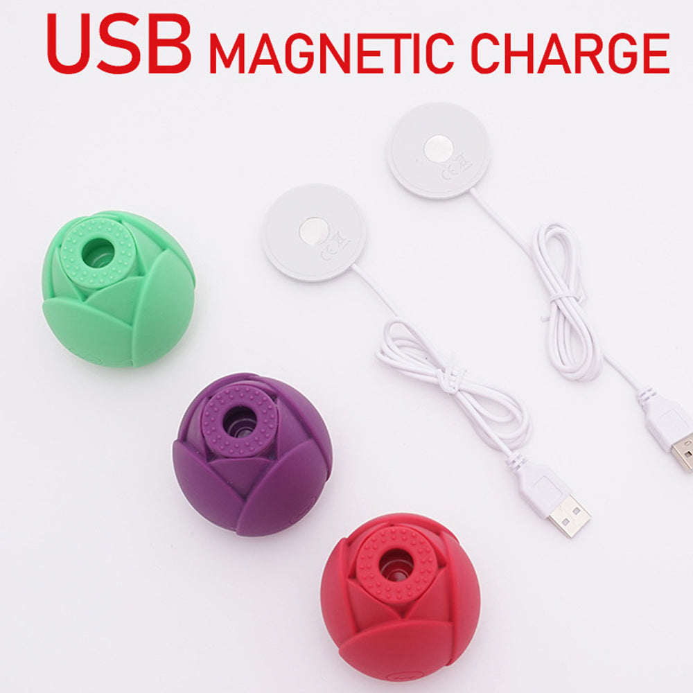 Rose Vibrator 10 Gears Sucking Waterproof Magnetic Charging – product view 8