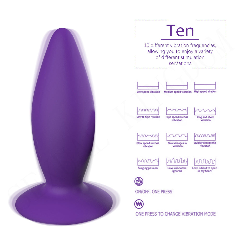 Remote 10 Speeds Rear Massager Wellness Tool
