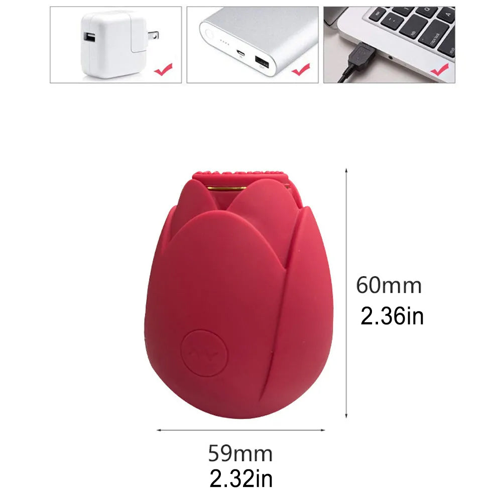 Rose Vibrator 10 Gears Sucking Waterproof Magnetic Charging – product view 9