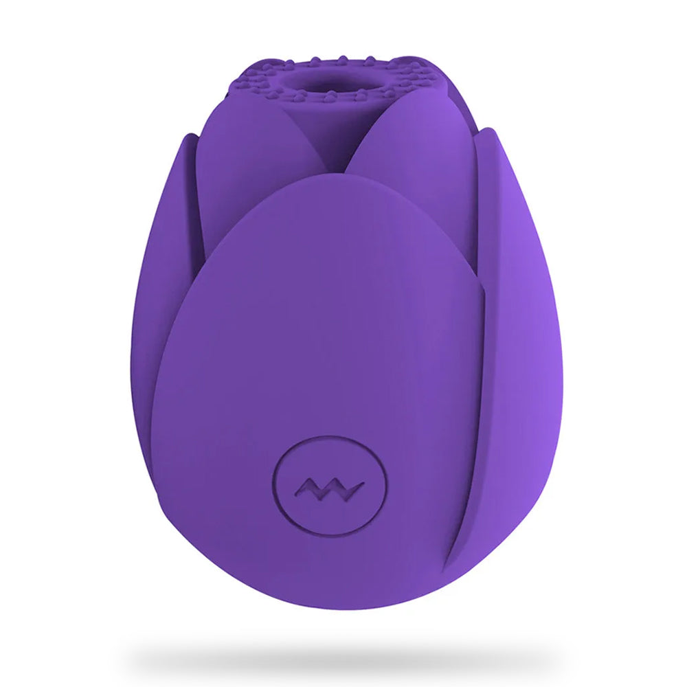 Rose Vibrator 10 Gears Sucking Waterproof Magnetic Charging – product view 14