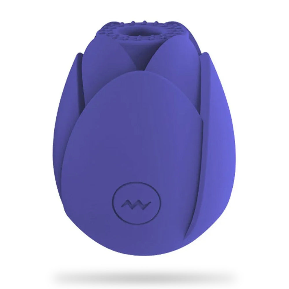 Rose Vibrator 10 Gears Sucking Waterproof Magnetic Charging – product view 12