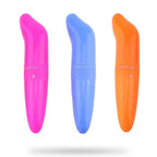 Dolphin Egg Vibrator & Mini Vibrator Vibration Stimulation