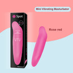 Dolphin Egg Vibrator & Mini Vibrator Vibration Stimulation – product view 4