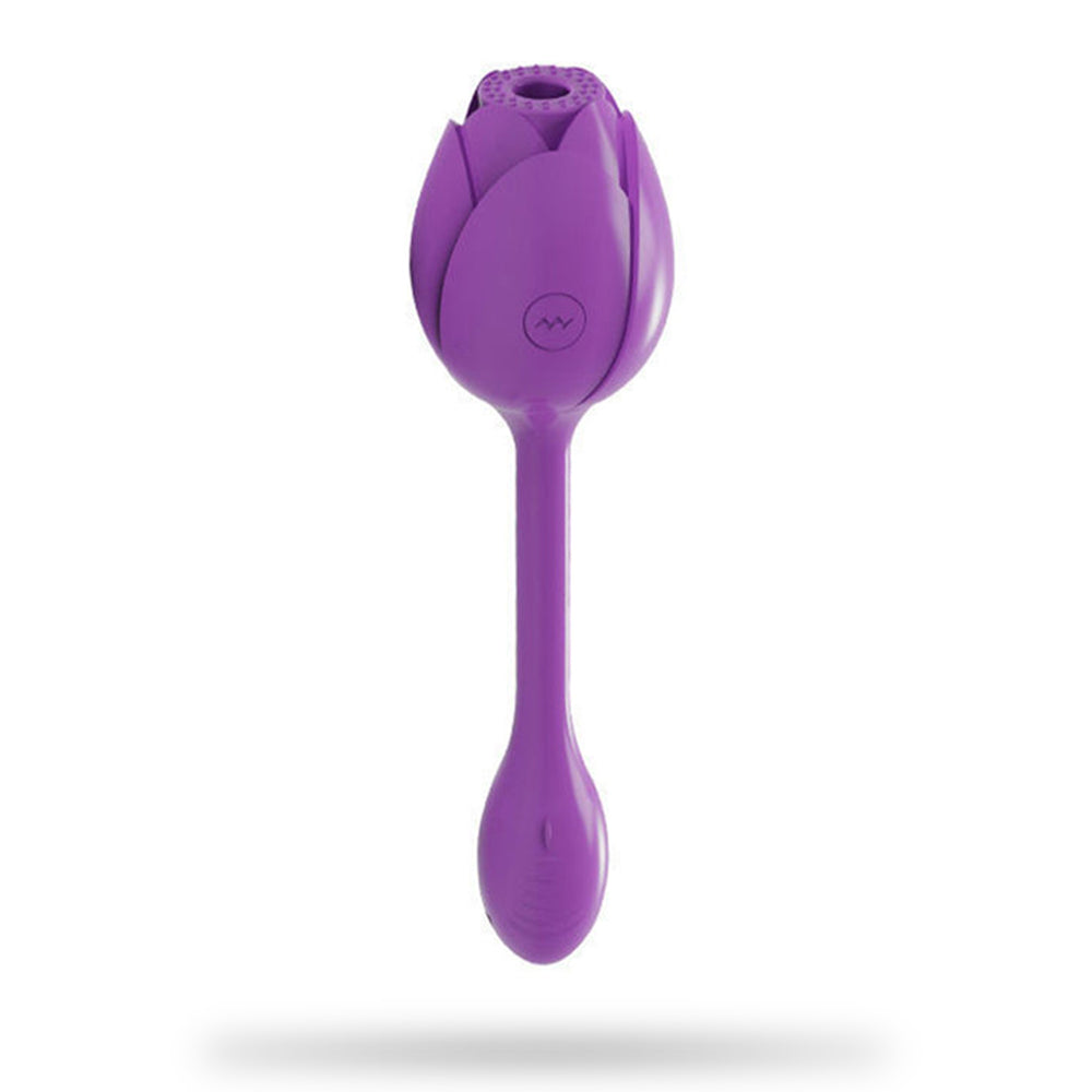 10 Frequency Rose Vibrator With Egg Vibrator Rose Sex Toy – product view 11