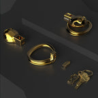 Gold Beatles Men's Penis Training Chastity Cage – product view 6