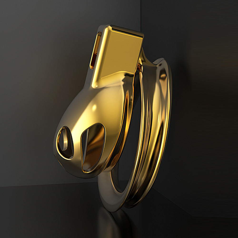 Gold Beatles Men's Penis Training Chastity Cage – product view 4
