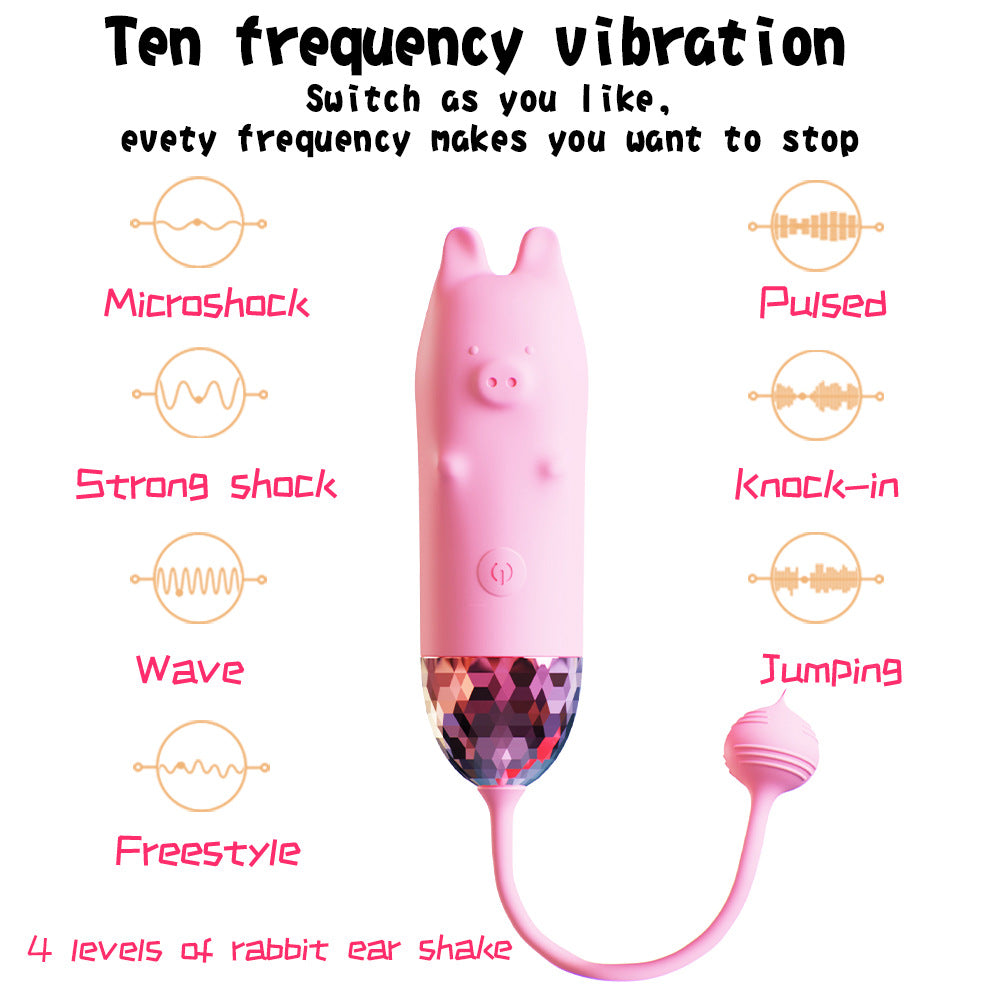 Piggy Vibrator -10 Frequency Wireless Control Piglet Vibrator – product view 2