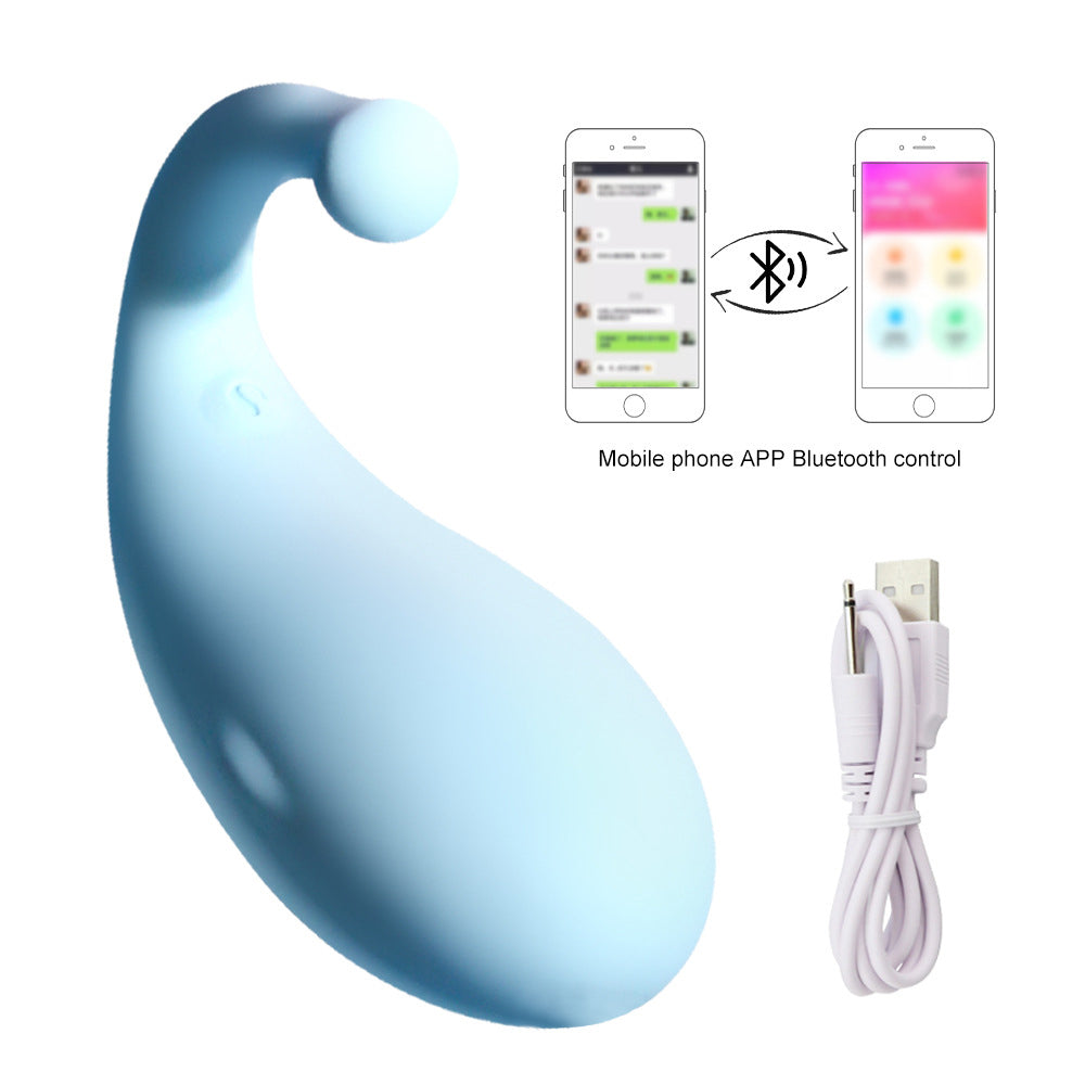 Long-Distance Remote Control Vibrating Egg Female Masturbator – product view 11
