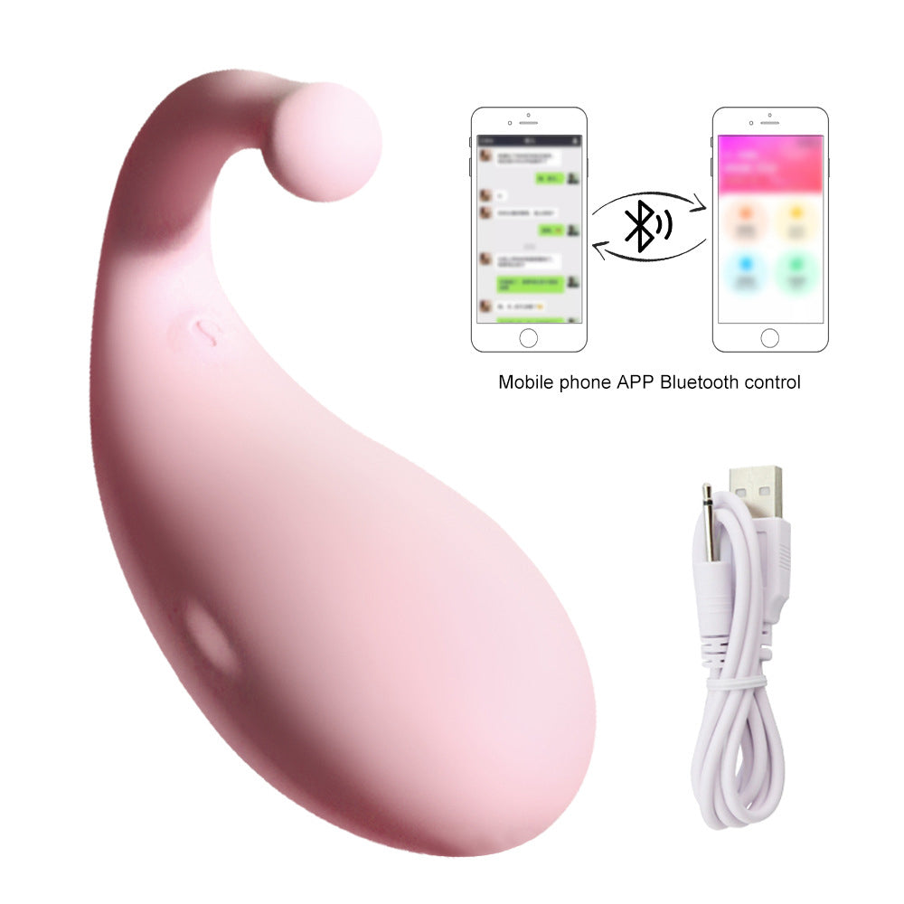 Long-Distance Remote Control Vibrating Egg Female Masturbator – product view 7