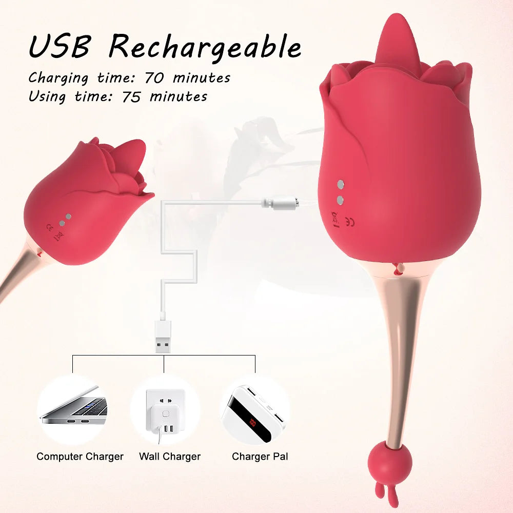 10 Vibrations Rose Suction Vibrator Masturbation Massager – product view 11