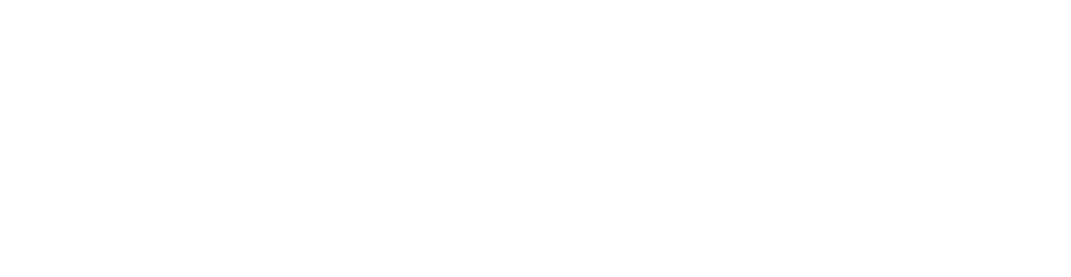 AnneToys