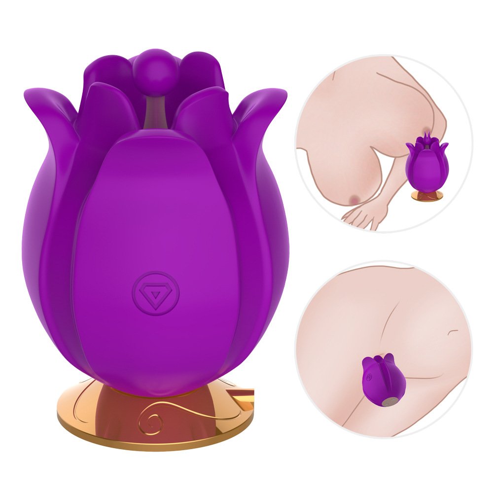 Rose Multi-Frequency Vibrating Egg Female Orgasm Masturbation Massager – product view 9